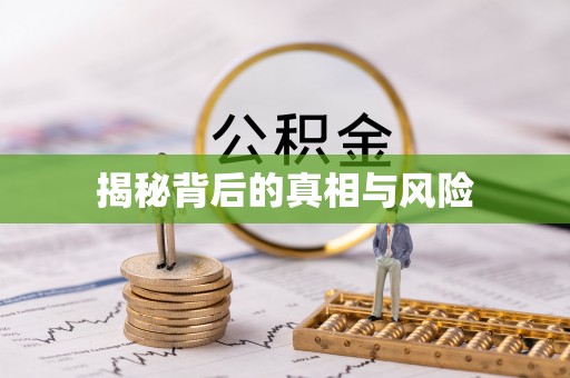 峨山揭秘背后的真相与风险