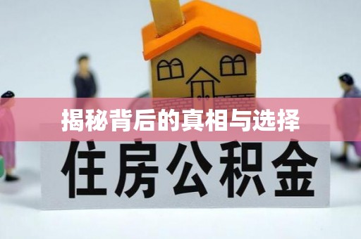 峨山揭秘背后的真相与选择