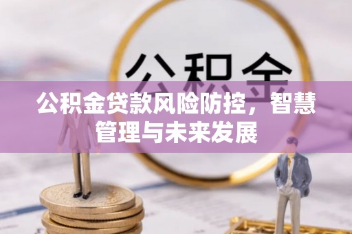 峨山公积金贷款风险防控，智慧管理与未来发展