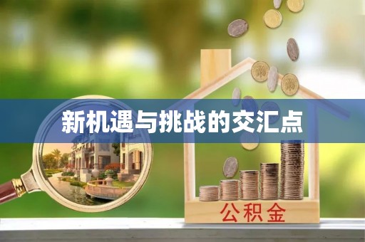 峨山新机遇与挑战的交汇点