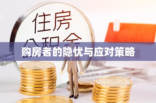 峨山购房者的隐忧与应对策略