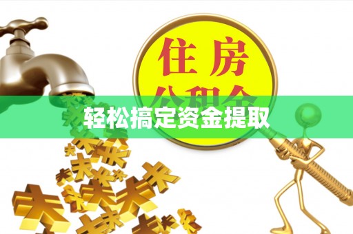 峨山轻松搞定资金提取