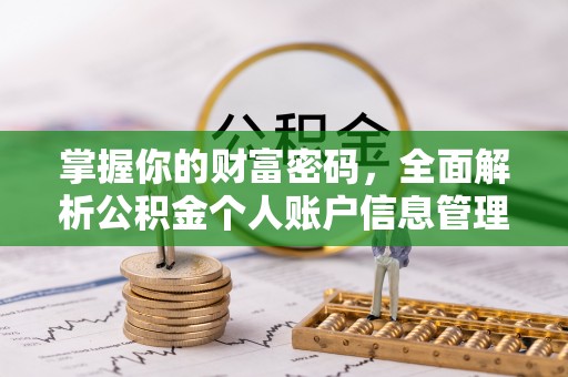 峨山掌握你的财富密码，全面解析公积金个人账户信息管理