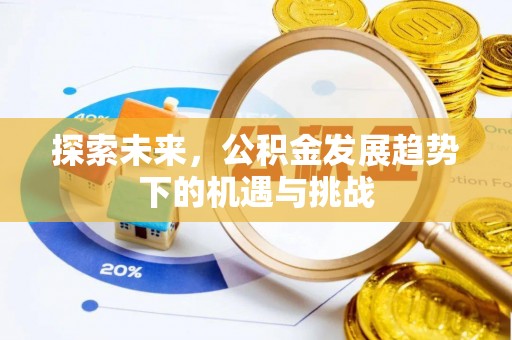 峨山探索未来，公积金发展趋势下的机遇与挑战