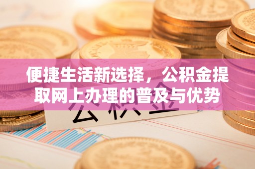 峨山便捷生活新选择，公积金提取网上办理的普及与优势