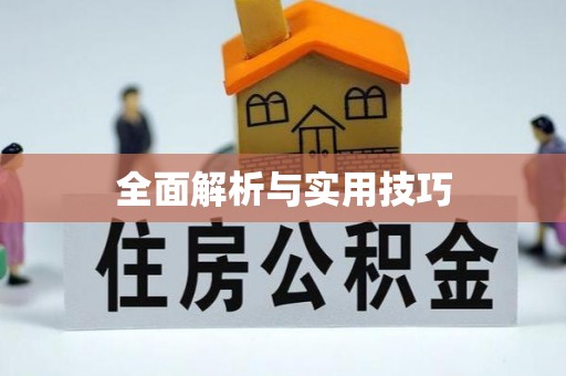 峨山全面解析与实用技巧