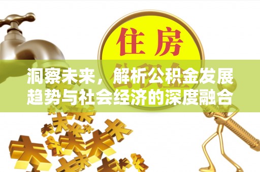 峨山洞察未来，解析公积金发展趋势与社会经济的深度融合