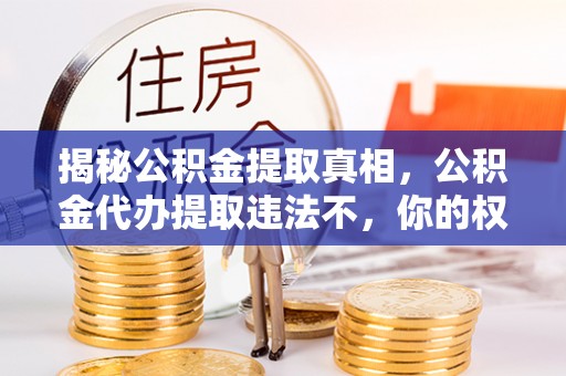 峨山揭秘公积金提取真相，公积金代办提取违法不，你的权益如何保障？