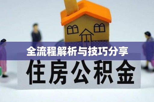 峨山全流程解析与技巧分享