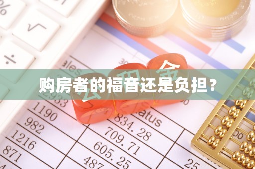 峨山购房者的福音还是负担？