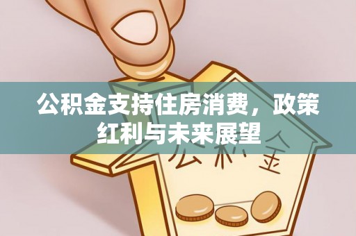 峨山公积金支持住房消费，政策红利与未来展望