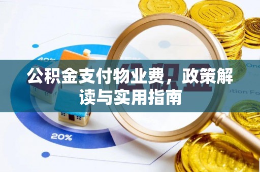 峨山公积金支付物业费，政策解读与实用指南